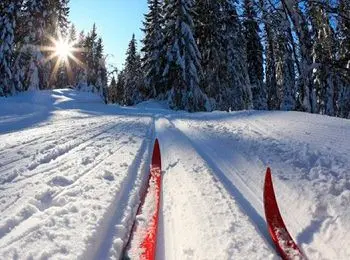 в соликамске физрук бросил школьников в лесу - Сайт Газеты «Совершенно Секретно»