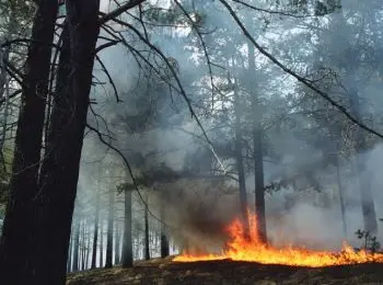 в сибири площадь лесных пожаров за праздники выросла в 4 раза - Сайт Газеты «Совершенно Секретно»