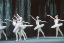 МИД РФ подарит иностранным дипломатам шампанское за ₽28 000 и билеты на «Лебединое озеро»