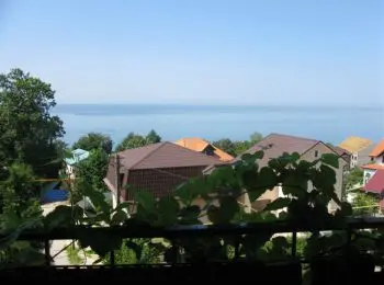 ЧИСТО СОЧИНСКОЕ МОШЕННИЧЕСТВО - Совершенно Секретно