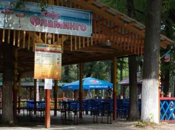 пока инвалиды молчат об унижении, уголовный кодекс не работает - Сайт Газеты «Совершенно Секретно»