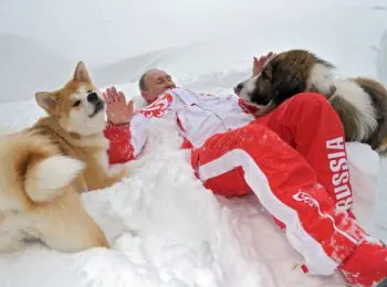 загадочные собаки путина - Сайт Газеты «Совершенно Секретно»