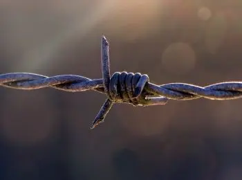 сотруднику цниимаш предъявлены обвинения в передаче секретных данных стране нато - Сайт Газеты «Совершенно Секретно»