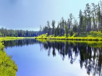 российские ученые установили родство жителей псковской, новгородской областей и якутии - Сайт Газеты «Совершенно Секретно»