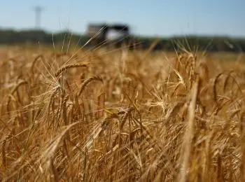 минсельхоз предложил запретить иностранцам владеть землей - Сайт Газеты «Совершенно Секретно»