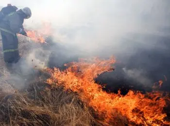 в забайкалье завели уголовное дело против ответственных за тушение пожаров чиновников - Сайт Газеты «Совершенно Секретно»