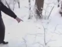 Жители Адыгейска доказывают существование снежного человека