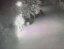 Силовики возбудили уголовное дело на крымчанина, который помочился на символы СВО (ВИДЕО)