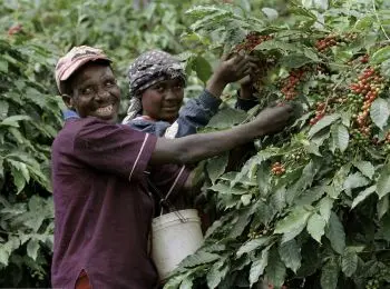 РОССИЮ НАКОРМИТ АФРИКА - Совершенно Секретно