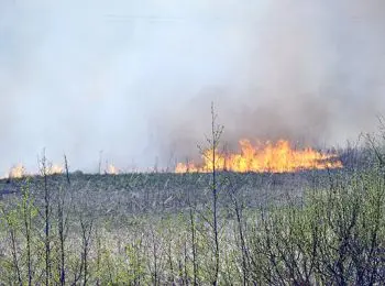 лесные пожары подбираются к москве - Сайт Газеты «Совершенно Секретно»