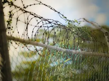 обвиняемых по делу о грязной нефти в «дружбе» арестовали на два месяца - Сайт Газеты «Совершенно Секретно»