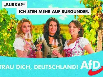 Дымоход для немцев - Совершенно Секретно