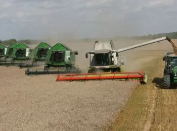 сми: китай заинтересован в покупке российского зерна - Сайт Газеты «Совершенно Секретно»