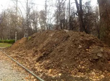 «березовая роща» требует референдума - Сайт Газеты «Совершенно Секретно»