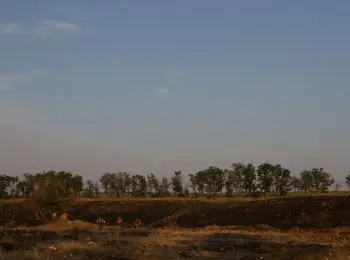 пограничники крыма выдворили украинских военных на родину - Сайт Газеты «Совершенно Секретно»