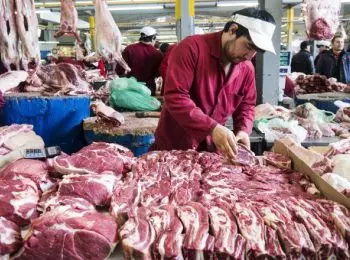 россельхознадзор ограничил поставки продукции в страны таможенного союза - Сайт Газеты «Совершенно Секретно»