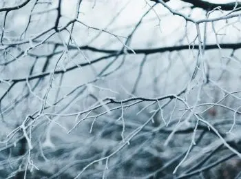 в начале следующей недели температура в москве опустится до 12 градусов мороза - Сайт Газеты «Совершенно Секретно»