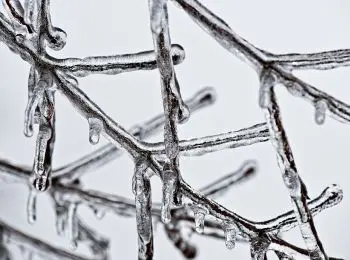 синоптики рассказали о прогнозе погоды на неделю в москве - Сайт Газеты «Совершенно Секретно»