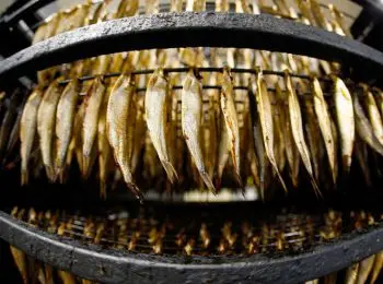 россия запрещает ввоз шпрот из польши с 14 августа - Сайт Газеты «Совершенно Секретно»