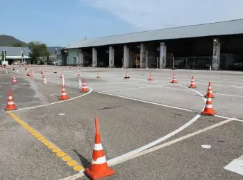 гибдд хочет усилить контроль за автошколами - Сайт Газеты «Совершенно Секретно»