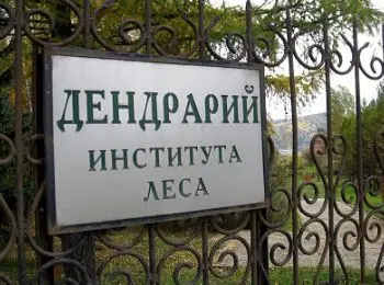 красноярские учёные хотят превратить уникальную природную зону в стройплощадку - Сайт Газеты «Совершенно Секретно»