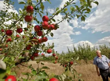 назарбаев просит европу отменить санкции против россии - Сайт Газеты «Совершенно Секретно»