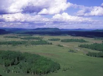 медведев запретил передавать иностранцам земли на дальнем востоке - Сайт Газеты «Совершенно Секретно»