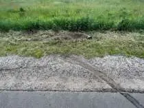 В Подмосковье полицейский сбил велосипедиста, а затем ударил его ножом в печень из-за разбитого лобового стекла