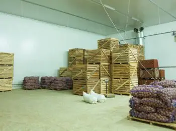 россия с 22 октября вводит запрет на растительную продукцию из украины - Сайт Газеты «Совершенно Секретно»