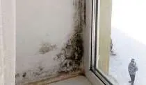 На Алтае сироте выдали квартиру с плесенью