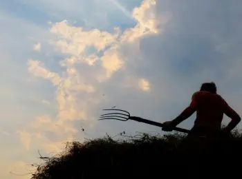 сельским фермерам увеличат пенсию на 25% - Сайт Газеты «Совершенно Секретно»