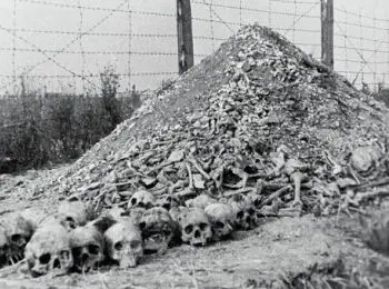 путин обеспокоен проявлениями неонацизма в прибалтике и на украине - Сайт Газеты «Совершенно Секретно»