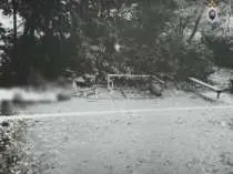 В Москве раскрыли совершенное 31 год назад убийство