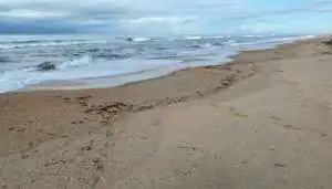 После ЧП с танкерами в 2024 г. в Анапе приступили к восстановлению пляжей