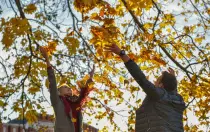 Бабье лето в Москве продлится до начала следующей недели