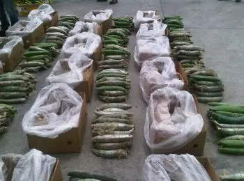 НАРКОБАРОН ИЗ СТУПИНА - Совершенно Секретно