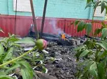 «Это люди наши уже, наши»: жительница Шебекино сообщила о появлении мародёров в городе на фоне обстрелов (ВИДЕО)