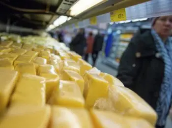 роспотребнадзор запретил ввоз в рф украинских сыроподобных продуктов - Сайт Газеты «Совершенно Секретно»