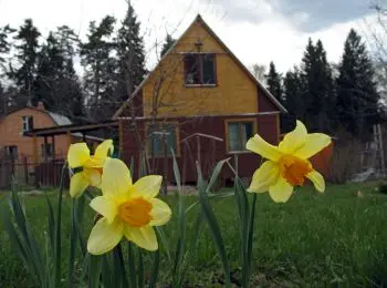 брошенные земли через 5 лет перейдут в управление региональных властей - Сайт Газеты «Совершенно Секретно»