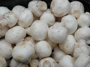 россия заподозрила белоруссию в реэкспорте ягод и грибов - Сайт Газеты «Совершенно Секретно»