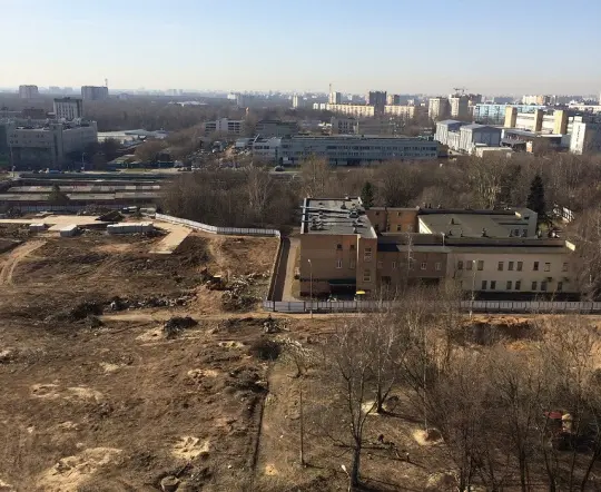 Коронавирус беззаконию не помеха - Совершенно Секретно