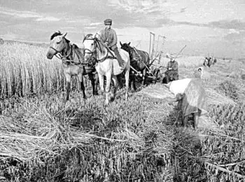 Внешнеторговые кошмары - Совершенно Секретно