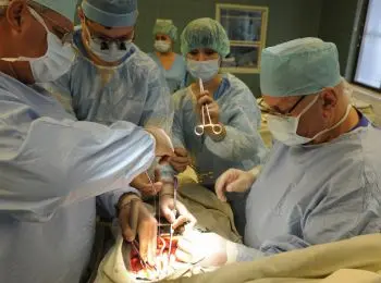 совфед предлагает ставить в паспорт отметку о согласии на донорство органов - Сайт Газеты «Совершенно Секретно»