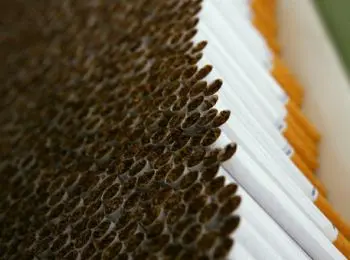 цена за пачку сигарет может заметно возрасти - Сайт Газеты «Совершенно Секретно»