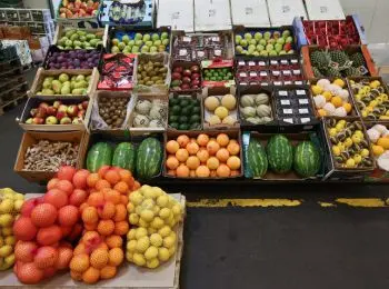 ес намерен отговорить латинскую америку поставлять сельхозпродукцию в рф - Сайт Газеты «Совершенно Секретно»