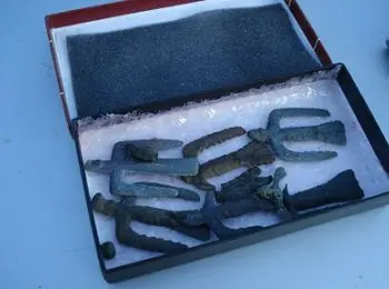 в свердловской области полиция арестовала продавца семи древних птицевидных идолов - Сайт Газеты «Совершенно Секретно»