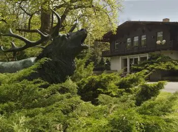 ТАЙНА АГЕНТА ЛЮЦИ - Совершенно Секретно