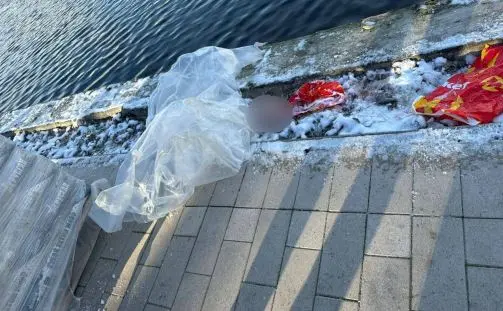 Голову ребенка в рюкзаке нашли в Гольяновском пруду Москвы