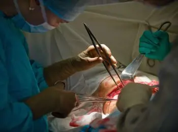 Новый закон о трансплантации: «да» или «нет»? - Совершенно Секретно