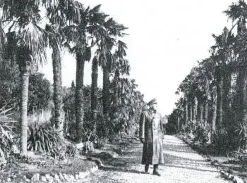 ГОТЕНЛАНД ОБЕТОВАННЫЙ - Совершенно Секретно